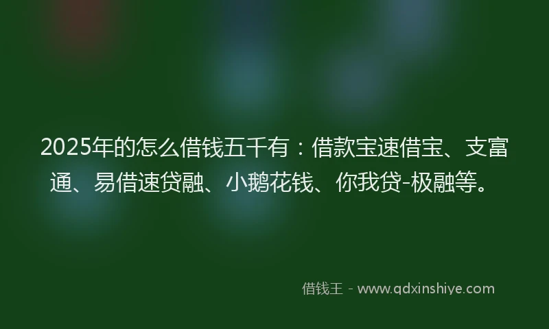 2025年的怎么借钱五千有：借款宝速借宝、支富通、易借速贷融、小鹅花钱、你我贷-极融等。