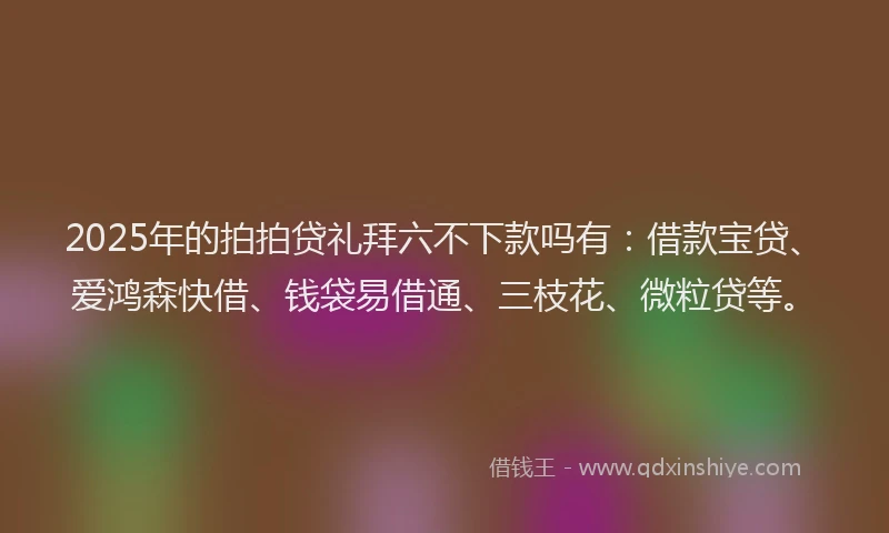 2025年的拍拍贷礼拜六不下款吗有：借款宝贷、爱鸿森快借、钱袋易借通、三枝花、微粒贷等。