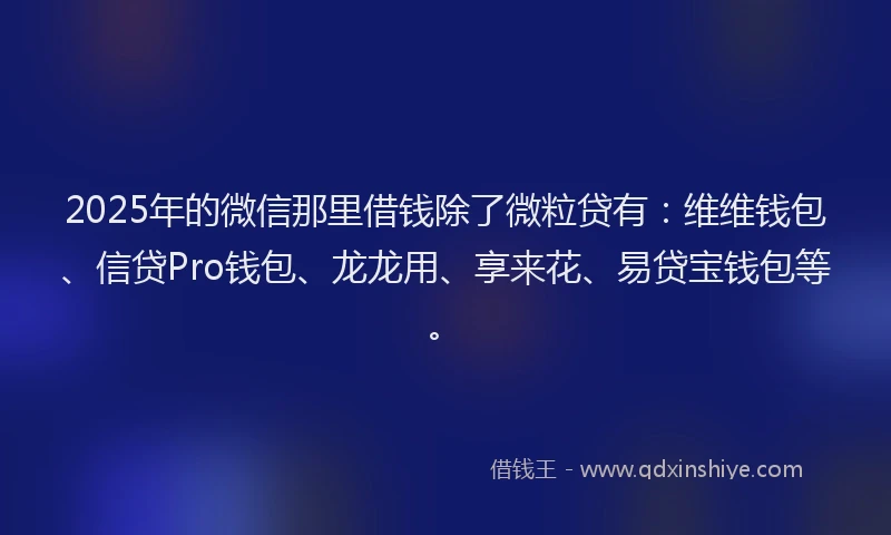 2025年的微信那里借钱除了微粒贷有：维维钱包、信贷Pro钱包、龙龙用、享来花、易贷宝钱包等。