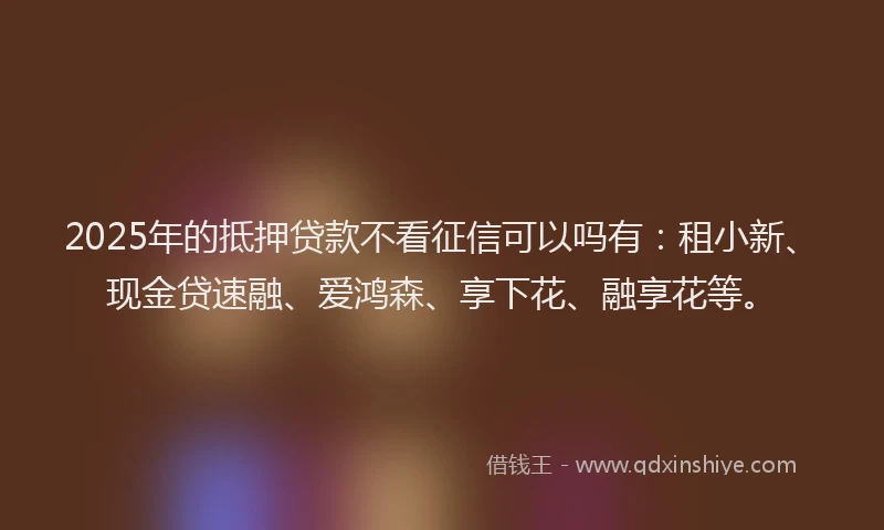 2025年的抵押贷款不看征信可以吗有：租小新、现金贷速融、爱鸿森、享下花、融享花等。