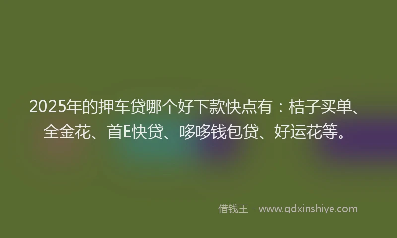 2025年的押车贷哪个好下款快点有：桔子买单、全金花、首E快贷、哆哆钱包贷、好运花等。