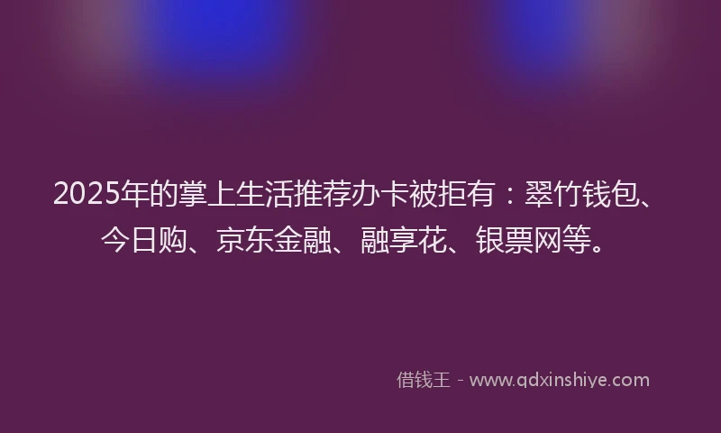 2025年的掌上生活推荐办卡被拒有：翠竹钱包、今日购、京东金融、融享花、银票网等。
