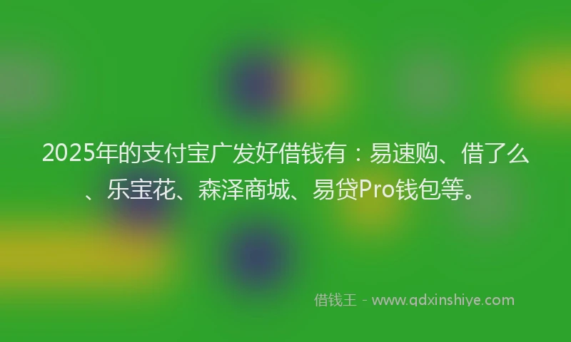 2025年的支付宝广发好借钱有：易速购、借了么、乐宝花、森泽商城、易贷Pro钱包等。