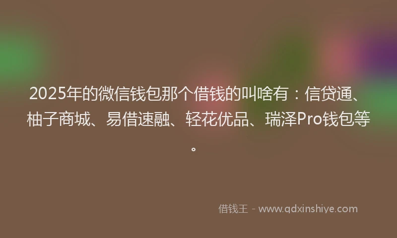 2025年的微信钱包那个借钱的叫啥有：信贷通、柚子商城、易借速融、轻花优品、瑞泽Pro钱包等。