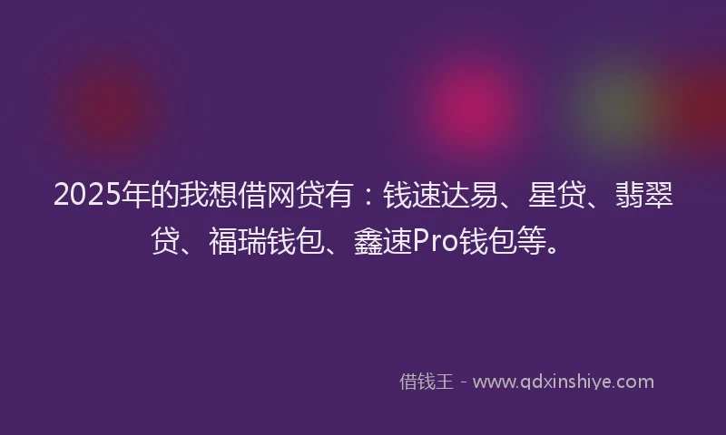 2025年的我想借网贷有：钱速达易、星贷、翡翠贷、福瑞钱包、鑫速Pro钱包等。