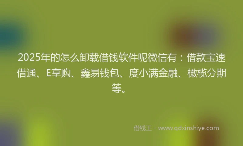 2025年的怎么卸载借钱软件呢微信有：借款宝速借通、E享购、鑫易钱包、度小满金融、橄榄分期等。