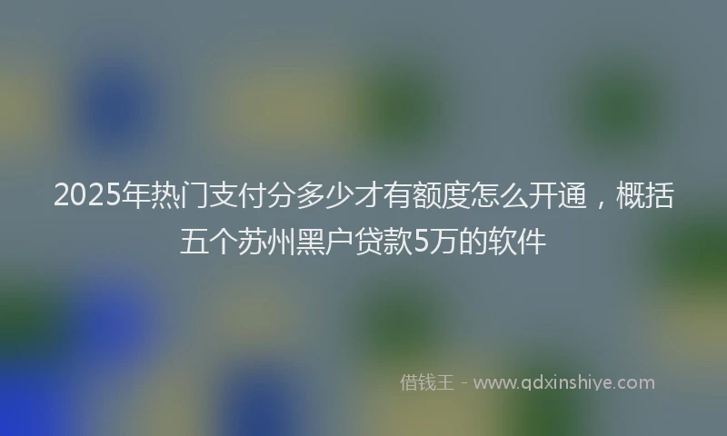 2025年热门支付分多少才有额度怎么开通，概括五个苏州黑户贷款5万的软件