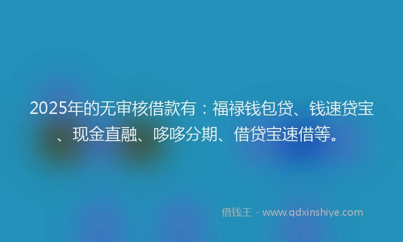 2025年的无审核借款有：福禄钱包贷、钱速贷宝、现金直融、哆哆分期、借贷宝速借等。