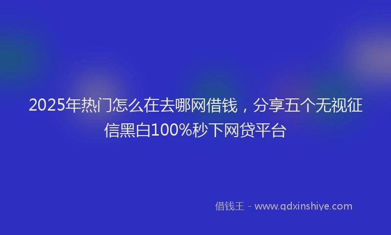 2025年热门怎么在去哪网借钱，分享五个无视征信黑白100%秒下网贷平台