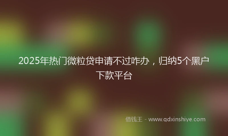 2025年热门微粒贷申请不过咋办，归纳5个黑户下款平台