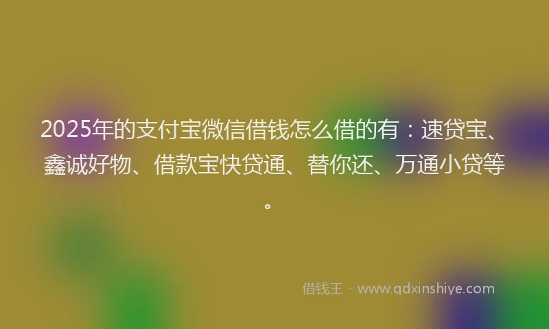 2025年的支付宝微信借钱怎么借的有：速贷宝、鑫诚好物、借款宝快贷通、替你还、万通小贷等。