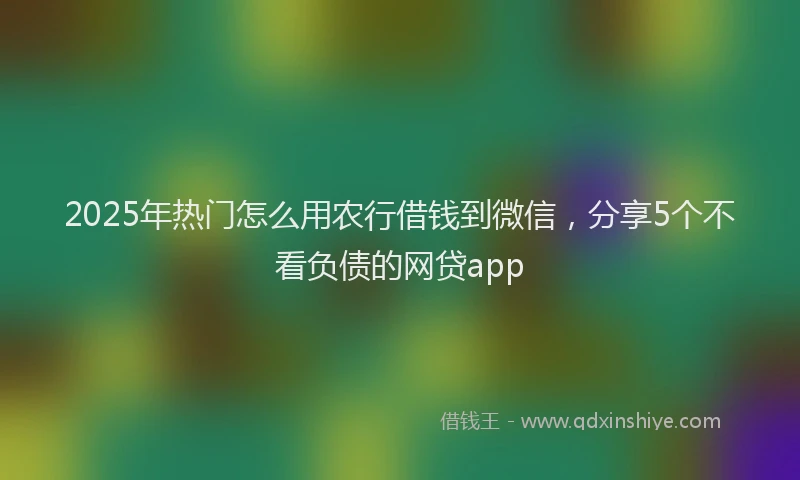 2025年热门怎么用农行借钱到微信，分享5个不看负债的网贷app