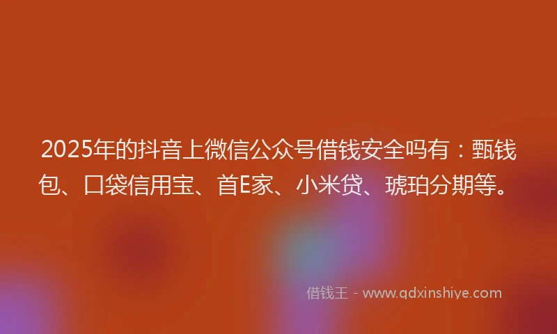 2025年的抖音上微信公众号借钱安全吗有：甄钱包、口袋信用宝、首E家、小米贷、琥珀分期等。