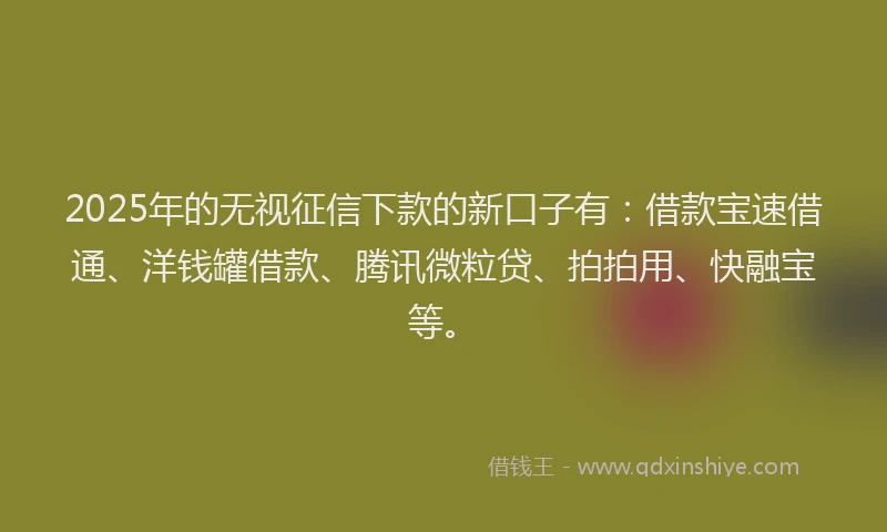 2025年的无视征信下款的新口子有：借款宝速借通、洋钱罐借款、腾讯微粒贷、拍拍用、快融宝等。