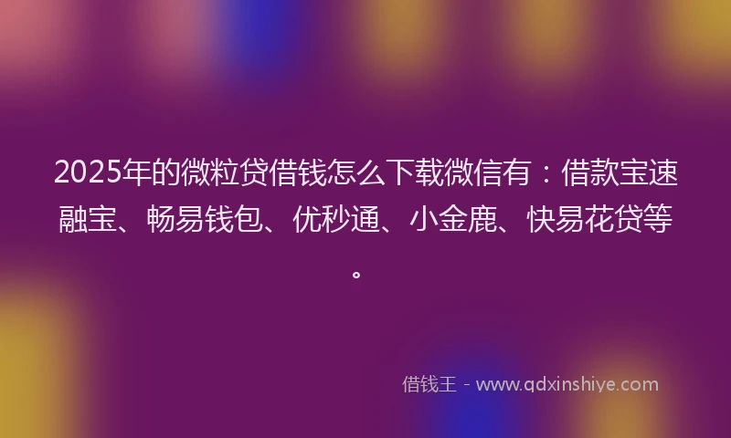 2025年的微粒贷借钱怎么下载微信有：借款宝速融宝、畅易钱包、优秒通、小金鹿、快易花贷等。
