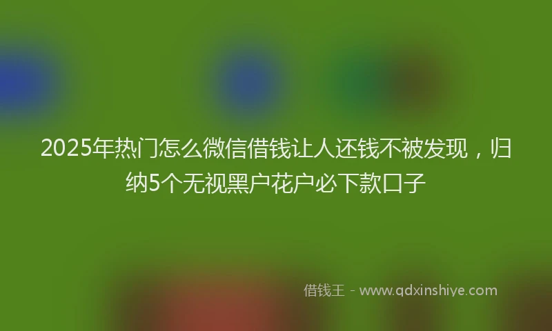 2025年热门怎么微信借钱让人还钱不被发现，归纳5个无视黑户花户必下款口子