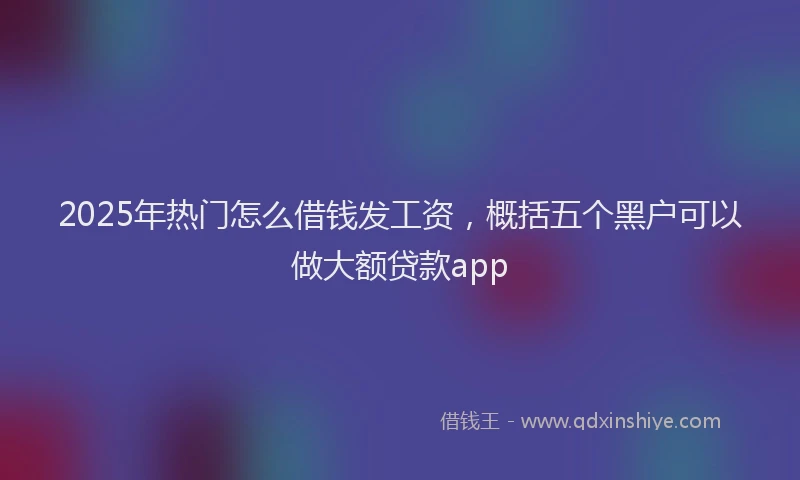 2025年热门怎么借钱发工资，概括五个黑户可以做大额贷款app
