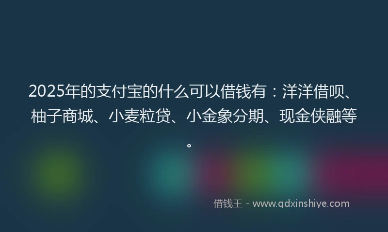 2025年的支付宝的什么可以借钱有：洋洋借呗、柚子商城、小麦粒贷、小金象分期、现金侠融等。