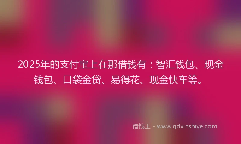 2025年的支付宝上在那借钱有：智汇钱包、现金钱包、口袋金贷、易得花、现金快车等。