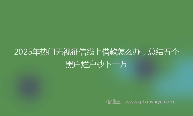 2025年热门无视征信线上借款怎么办，总结五个黑户烂户秒下一万