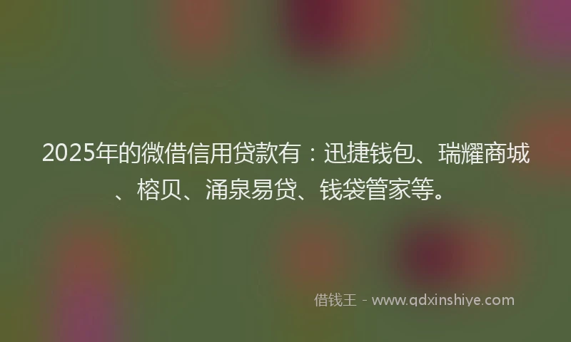 2025年的微借信用贷款有：迅捷钱包、瑞耀商城、榕贝、涌泉易贷、钱袋管家等。