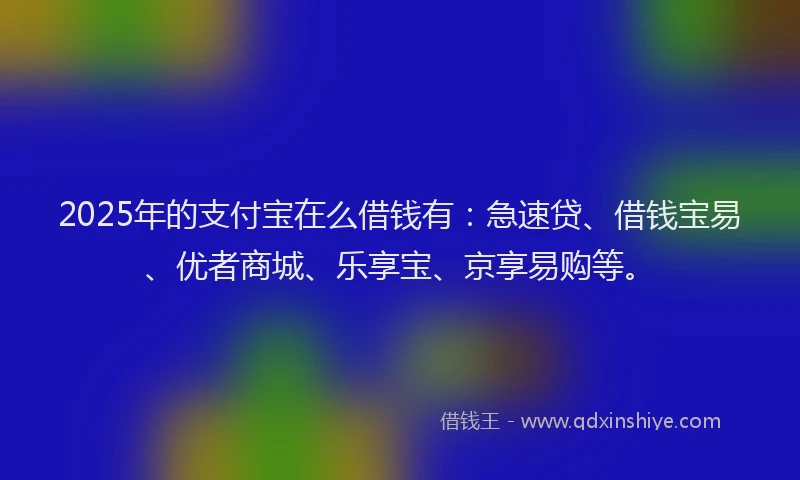 2025年的支付宝在么借钱有：急速贷、借钱宝易、优者商城、乐享宝、京享易购等。