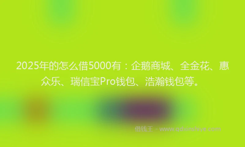 2025年的怎么借5000有：企鹅商城、全金花、惠众乐、瑞信宝Pro钱包、浩瀚钱包等。