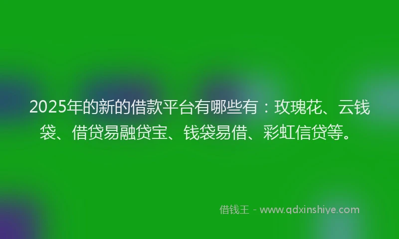 2025年的新的借款平台有哪些有：玫瑰花、云钱袋、借贷易融贷宝、钱袋易借、彩虹信贷等。