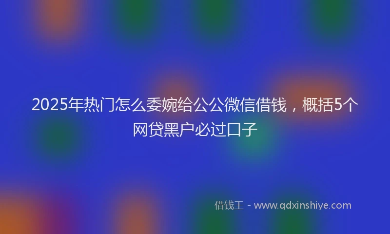 2025年热门怎么委婉给公公微信借钱，概括5个网贷黑户必过口子