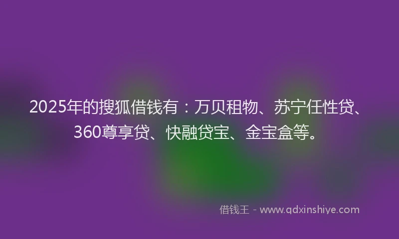 2025年的搜狐借钱有：万贝租物、苏宁任性贷、360尊享贷、快融贷宝、金宝盒等。