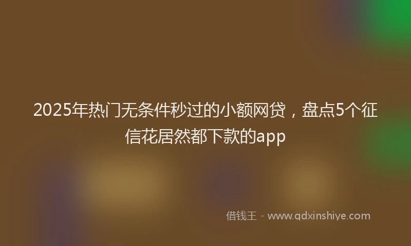 2025年热门无条件秒过的小额网贷，盘点5个征信花居然都下款的app