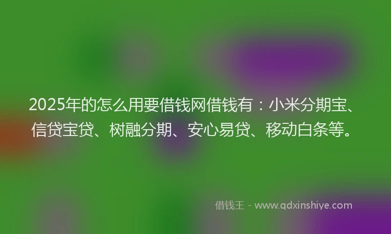 2025年的怎么用要借钱网借钱有：小米分期宝、信贷宝贷、树融分期、安心易贷、移动白条等。