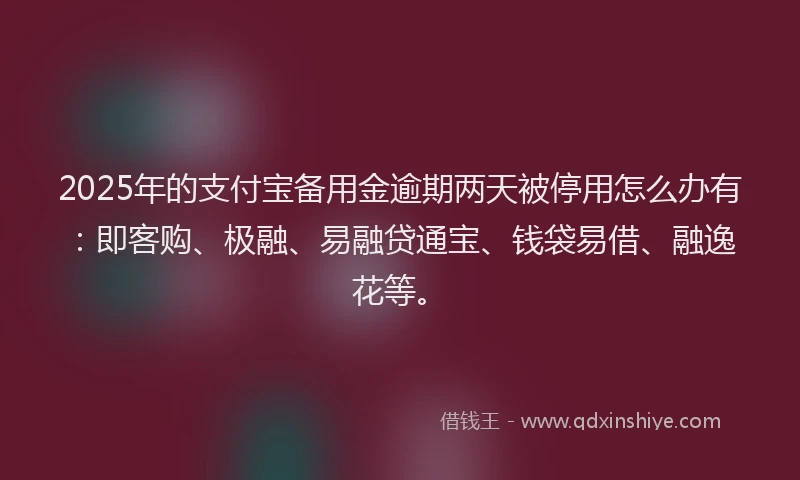 2025年的支付宝备用金逾期两天被停用怎么办有：即客购、极融、易融贷通宝、钱袋易借、融逸花等。