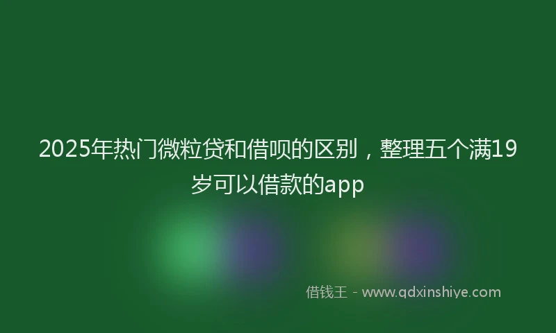 2025年热门微粒贷和借呗的区别，整理五个满19岁可以借款的app