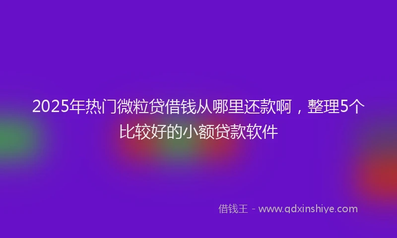 2025年热门微粒贷借钱从哪里还款啊，整理5个比较好的小额贷款软件