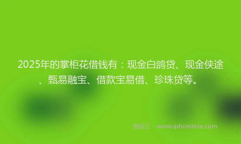 2025年的掌柜花借钱有：现金白鸽贷、现金侠途、甄易融宝、借款宝易借、珍珠贷等。