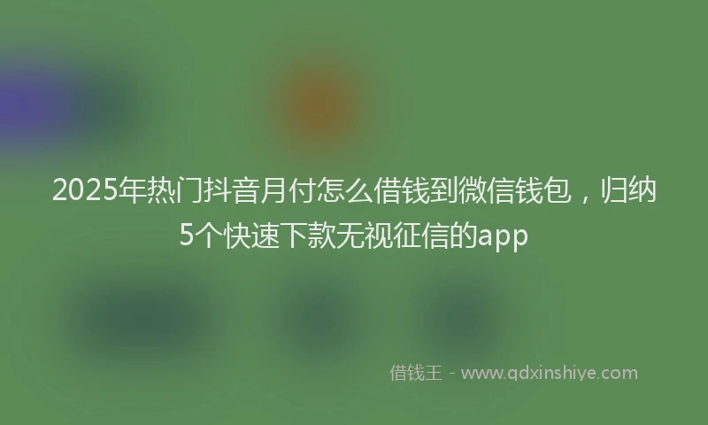2025年热门抖音月付怎么借钱到微信钱包，归纳5个快速下款无视征信的app