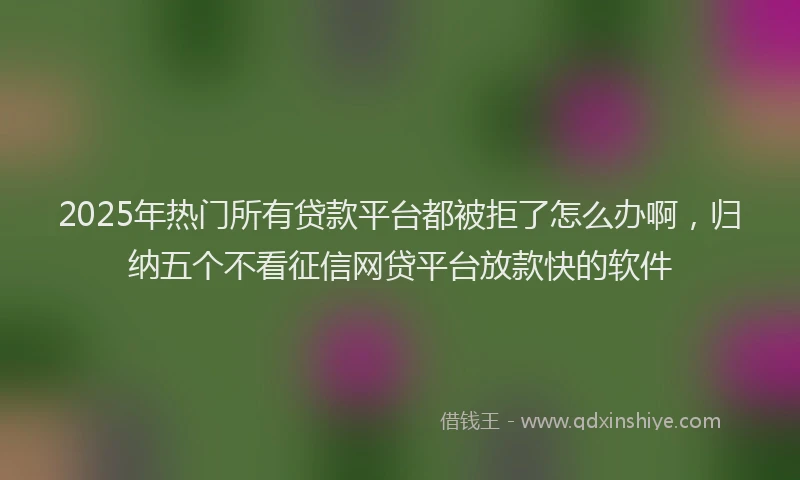 2025年热门所有贷款平台都被拒了怎么办啊，归纳五个不看征信网贷平台放款快的软件