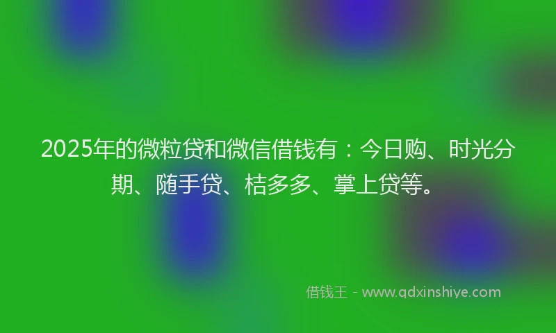2025年的微粒贷和微信借钱有：今日购、时光分期、随手贷、桔多多、掌上贷等。
