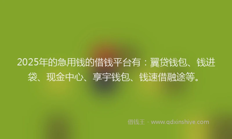 2025年的急用钱的借钱平台有：翼贷钱包、钱进袋、现金中心、享宇钱包、钱速借融途等。