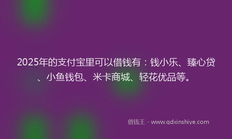 2025年的支付宝里可以借钱有：钱小乐、臻心贷、小鱼钱包、米卡商城、轻花优品等。