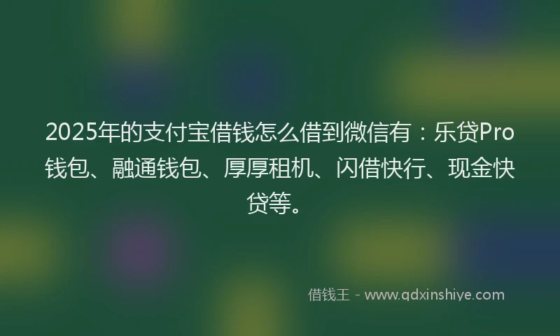 2025年的支付宝借钱怎么借到微信有：乐贷Pro钱包、融通钱包、厚厚租机、闪借快行、现金快贷等。
