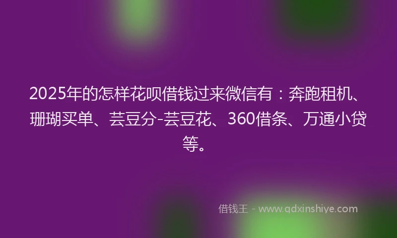 2025年的怎样花呗借钱过来微信有：奔跑租机、珊瑚买单、芸豆分-芸豆花、360借条、万通小贷等。