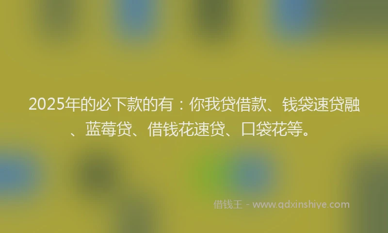 2025年的必下款的有：你我贷借款、钱袋速贷融、蓝莓贷、借钱花速贷、口袋花等。