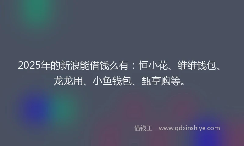 2025年的新浪能借钱么有：恒小花、维维钱包、龙龙用、小鱼钱包、甄享购等。