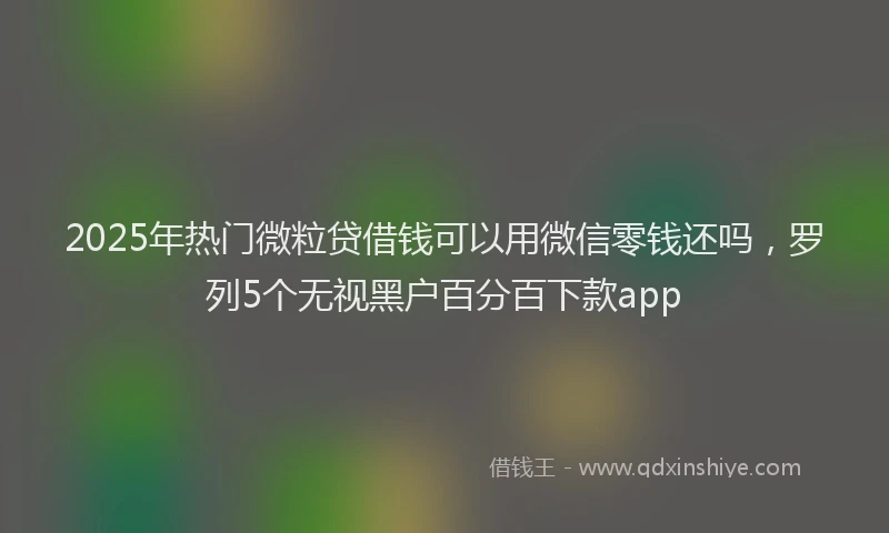 2025年热门微粒贷借钱可以用微信零钱还吗，罗列5个无视黑户百分百下款app