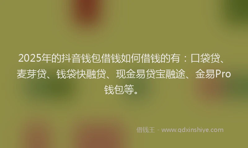 2025年的抖音钱包借钱如何借钱的有：口袋贷、麦芽贷、钱袋快融贷、现金易贷宝融途、金易Pro钱包等。