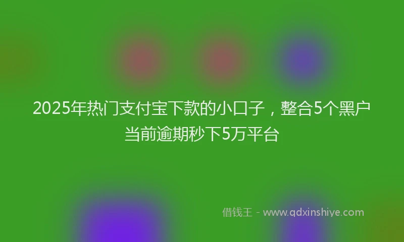 2025年热门支付宝下款的小口子，整合5个黑户当前逾期秒下5万平台