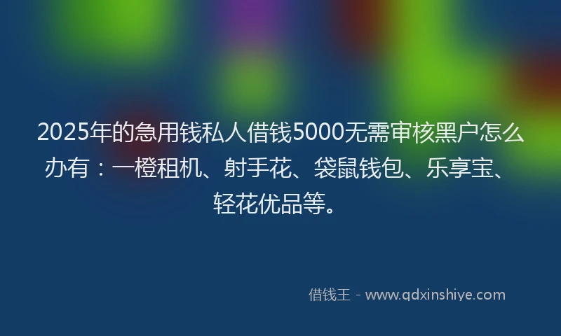 2025年的急用钱私人借钱5000无需审核黑户怎么办有：一橙租机、射手花、袋鼠钱包、乐享宝、轻花优品等。