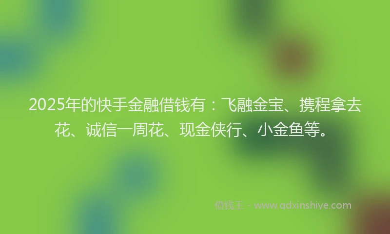 2025年的快手金融借钱有：飞融金宝、携程拿去花、诚信一周花、现金侠行、小金鱼等。